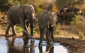 Umlani Bushcamp